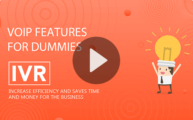IVR—Interactive Voice Response