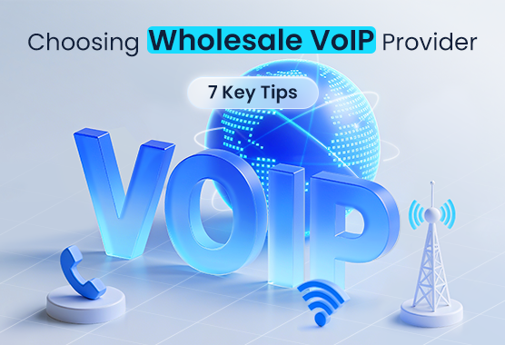 Choosing A Right Wholesale Voip Provider
